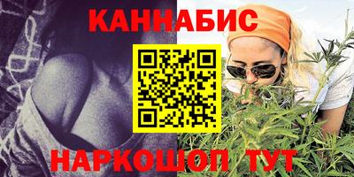 гидропоника Камышлов